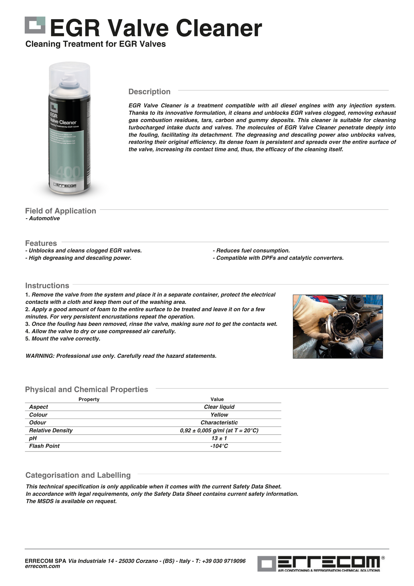 ERRECOM - EGR Valve Cleaner
